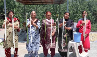 महिलाओं को आत्मनिर्भर बना रहा नवज्योति स्वयं सहायता समूह हाथ के हुनर और सरकार के सहयोग से लिखी सफलता की कहानी