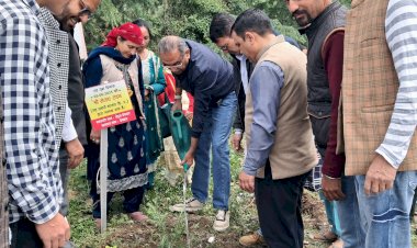 विश्व पर्यावरण दिवस ठियोग विधानसभा में “एक पेड़ माँ के नाम” अभियान के तहत पौधारोपण