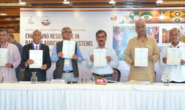 राज्य सरकार आलू का समर्थन मूल्य घोषित करेगीः मुख्यमंत्री