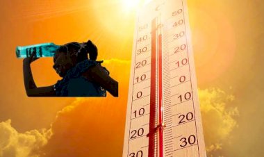 असमंजस : मौसम विभाग की सलाह पर भीषण गर्मी में स्कूल खुले हैं.. मामले डीसी सिरमौर ने क्या कहा...