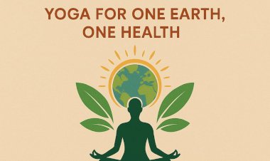 आयुष विभाग हमीरपुर में 13 स्थानों पर मनाएगा अंतर्राष्ट्रीय योग दिवस