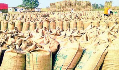 सिरमौर में धौलाकुआं तथा एपीएमसी मार्केट यार्ड पांवटा साहिब धान खरीद केन्द्र चयनित