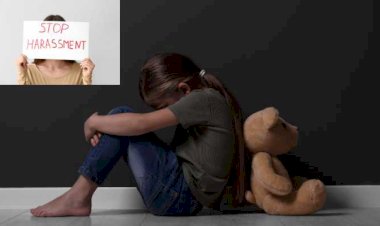 पच्छाद के सरसू स्कुल की नाबालिग छात्राओं ने शिक्षक पर लगाया छेड़छाड़ का आरोप, पोक्सो एक्ट में एफआईआर दर्ज