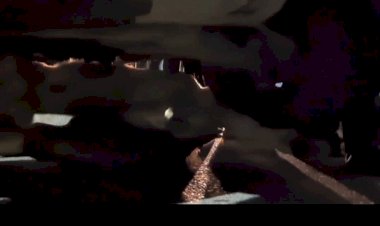 नाहन में बीती रात कार की चपेट आये बछड़े को ऐसे बचाया लोगों ने....पेट्रोल पंप के नजदीक हुआ हादसा