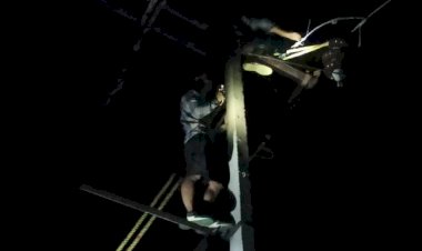 आपदा के अंधेरे में उम्मीद की रोशनी बना एचपीएसईबीएल.... दो दिनों में बहाल किए 1294 ट्रांसफार्मर, राहत कार्य को मिली रफ्तार