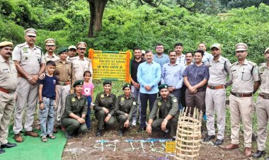 कोठी पंचायत में  जिला स्तरीय वन महोत्सव का आयोजन, मंत्री राजेश धर्मानी ने किया पौधारोपण