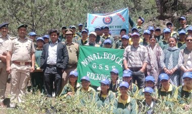 किन्नौर जिला की फॉरेस्ट कॉलोनी रिकांग पीओ में पौधरोपण-जागरूकता अभियान आयोजित