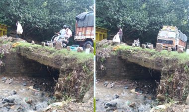 नेशनल हाइवे पर बिरोजा फैक्टरी के  नजदीक खतरनाक बनी पुलिया... सालों से दे रही है हादसों को न्योता..