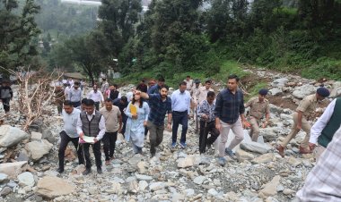 केंद्रीय दल ने थुनाग व जंजैहली में आपदा प्रभावित क्षेत्रों में नुकसान का लिया जायजा