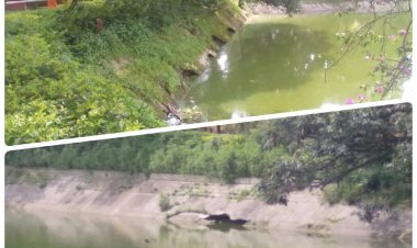 नाहन की धरोहर: रानीताल का ढह रहा है सुरक्षा डंगा, नप प्रशासन बेखबर...