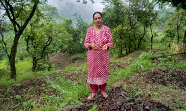 जाइका की 39.47 लाख की सिंचाई परियोजना से समखेतर गांव में आई हरियाली, बंजर खेतों में फिर लहराई फसलें