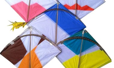 नाहन की पतंगबाजी एक परंपरा : यहां जहां महाराजा का पतंग काटने वाले को मिलता था इनाम...