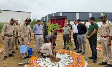 उपायुक्त ने औद्योगिक क्षेत्र पंडोगा में किया पौधारोपण, दिया पर्यावरण संरक्षण का संदेश