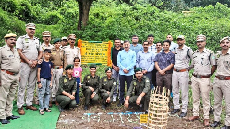 कोठी पंचायत में  जिला स्तरीय वन महोत्सव का आयोजन, मंत्री राजेश धर्मानी ने किया पौधारोपण