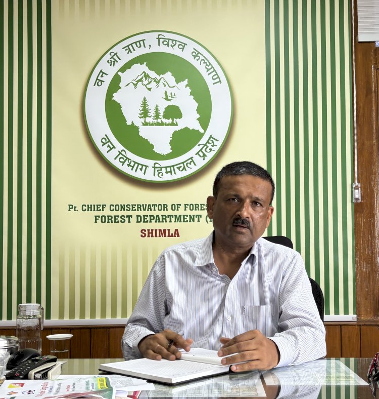 प्रदेश की 1820 हेक्टेयर भूमि पर हरियाली लाने का संकल्प, वन विभाग और जाइका वानिकी परियोजना ने रखा लक्ष्य