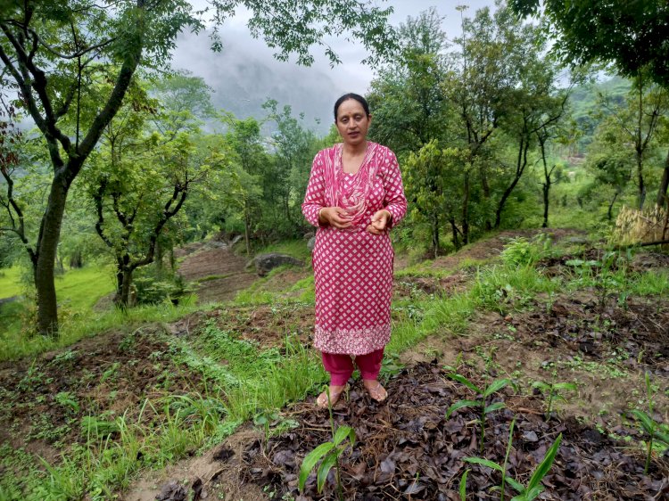जाइका की 39.47 लाख की सिंचाई परियोजना से समखेतर गांव में आई हरियाली, बंजर खेतों में फिर लहराई फसलें