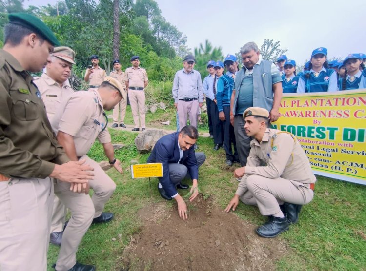 वृक्षों से ही जीवन, इसकी सुरक्षा हम सभी का कर्तव्य - अशोक कुमार