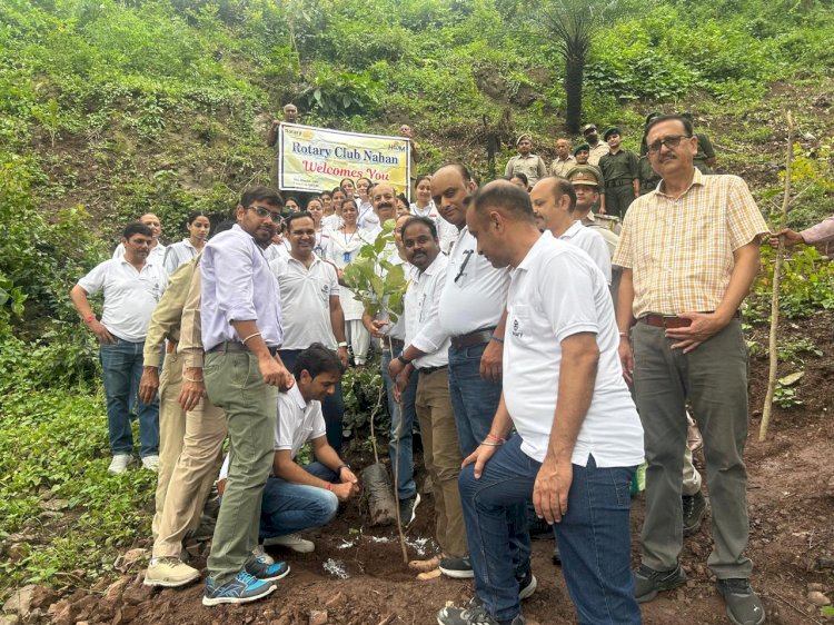 रोटरी क्लब ने जमटा के समीप किया पौधारोपण, वन विभाग की भूमि पर लगाए अलग-अलग प्रजाति के 132 पौधे