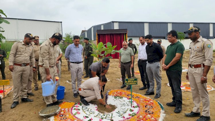उपायुक्त ने औद्योगिक क्षेत्र पंडोगा में किया पौधारोपण, दिया पर्यावरण संरक्षण का संदेश