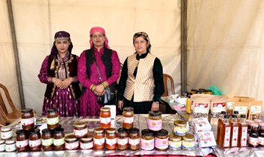 सेब की बर्फी बन रही खास, पहुंच रही दिलों के पास,  जय देवता जाबल नारायण स्वयं सहायता समूह बना रहा सेब की बर्फी