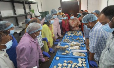 शिटाके मशरूम की खेती और प्रबंधन पर प्रशिक्षण कार्यक्रम सम्पन्न