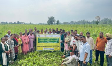 बेहद हानिकारक है पार्थेनियम (गाजर घास), समय पर उन्मूलन जरूरी : डॉ. पंकज मित्तल