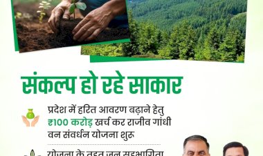 पर्यावरण संरक्षण के साथ ग्रामीण विकास की राह दिखा रही राजीव गांधी वन संवर्धन योजना