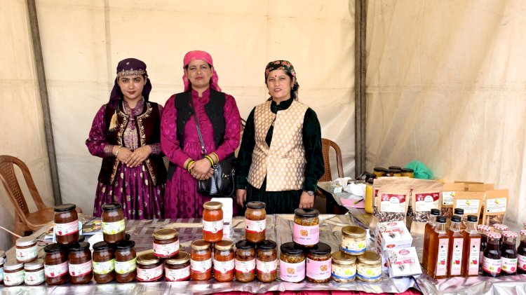 सेब की बर्फी बन रही खास, पहुंच रही दिलों के पास,  जय देवता जाबल नारायण स्वयं सहायता समूह बना रहा सेब की बर्फी