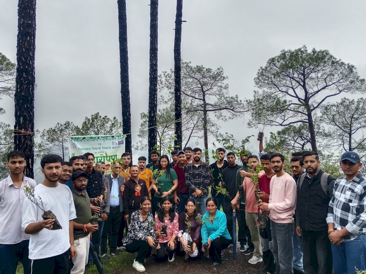 सुनील उपाध्याय एजुकेशनल ट्रस्ट व विकासार्थ विद्यार्थी शिमला महानगर ने किया पौधारोपण