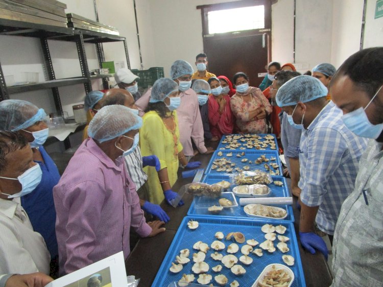 शिटाके मशरूम की खेती और प्रबंधन पर प्रशिक्षण कार्यक्रम सम्पन्न