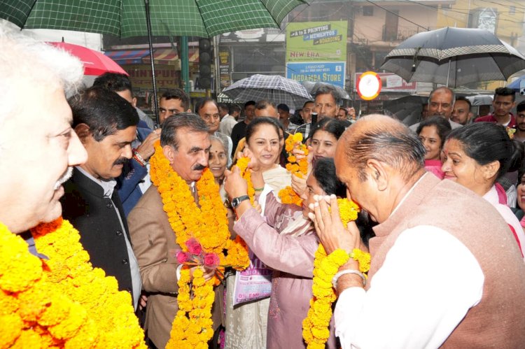मुख्यमंत्री ने राज्य स्तरीय वन महोत्सव का शुभारम्भ किया