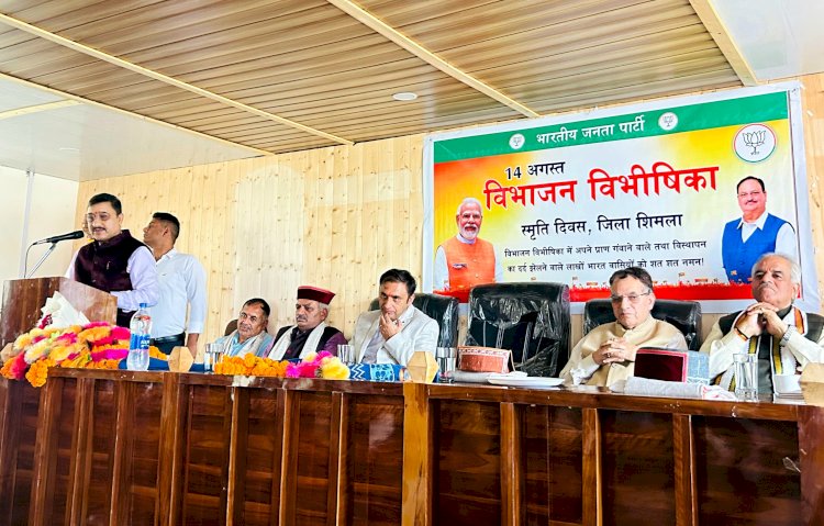 देश का विभाजन नेहरू, जिन्ना और अंग्रेजों की सुनियोजित चाल : कश्यप