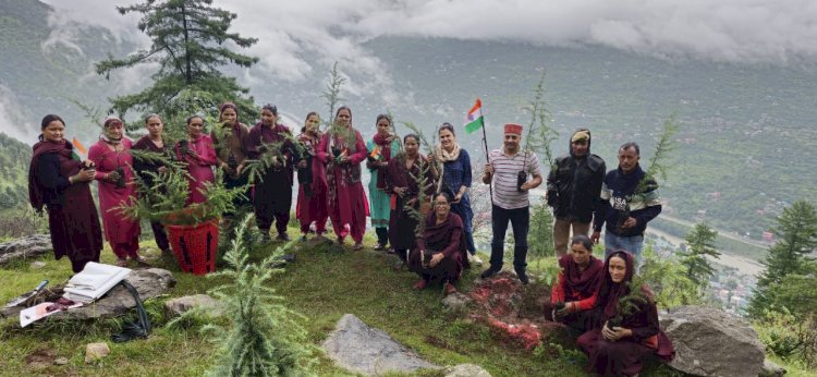 स्वतंत्रता दिवस पर कुल्लू के पीज में रोपे देवदार के पौधे, प्रोग्राम मैनेजर डा. कौशल्या की अगुवाई में हुआ सफल आयोजन