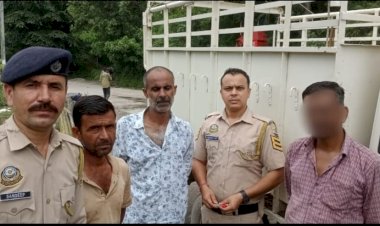 रेणुका में पिकअप से 1.17 ग्राम चिट्टा बरामद, चालक के खिलाफ एफआईआर दर्ज...