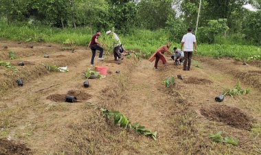 किसानों की समृद्धि का नया अध्याय लिख रही एचपी शिवा परियोजना