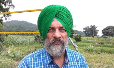 मुख्यमंत्री खेत संरक्षण योजना के माध्यम से किसान हो रहे खुशहाल