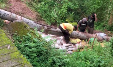 नहीं संम्भल रही गिरी पेयजल योजना: लगातार टूट रही है लाइने धौन गांव में. विभाग सांसत में..