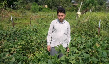 प्रदेश सरकार की योजनाओं से प्रगतिशील किसान रोशन लाल की जिंदगी में आया बदलाव