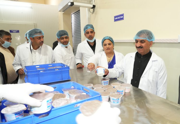 दूध पर न्यूनतम समर्थन मूल्य लागू  :मिल्कफेड रोजाना किसानों से खरीद रहा औसतन 2.32 लाख लीटर गाय का दूध