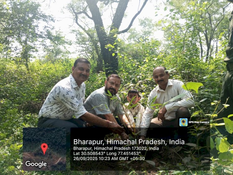 मियांवाकी साइट खरडू बीट रेंज गिरिनगर भारापुर में रोपे 100 से अधिक पौधे, बीपीपीओ माजरा की अगुवाई में चला अभियान 