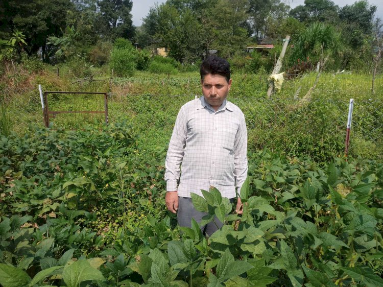 प्रदेश सरकार की योजनाओं से प्रगतिशील किसान रोशन लाल की जिंदगी में आया बदलाव