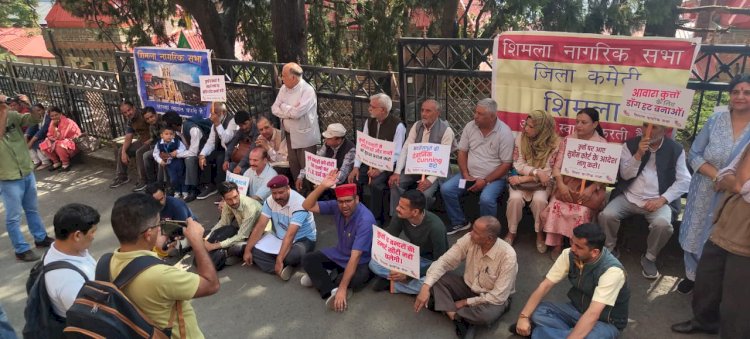 शिमला नागरिक सभा ने दिया  जिला आयुक्त कार्यालय के बाहर  धरना