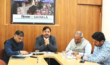 सभी डीएफओ एक हफ्ते के भीतर देंगे वन भूमि की मौजूदा स्टेट्स रिपोर्ट - उपायुक्त