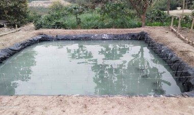 मंडी के युवाओं को मत्स्य पालन से मिला नया रोजगार मार्ग मुख्यमंत्री कार्प मत्स्य पालन योजना के तहत 16  युवाओं ने हासिल की सफलता, दो नए लाभार्थियों को मिली स्वीकृति