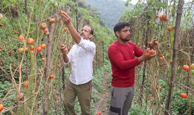 मुख्यमंत्री सुख-आश्रय योजना: सम्मानजनक जीवन व आत्मनिर्भरता की ओर एक कदम