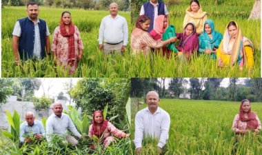 स्वस्थ मिट्टी, स्वस्थ अन्न, स्वस्थ जीवन: कांगड़ा में प्राकृतिक खेती का बढ़ा प्रसार कांगड़ा बना प्राकृतिक खेती का अग्रणी जिला