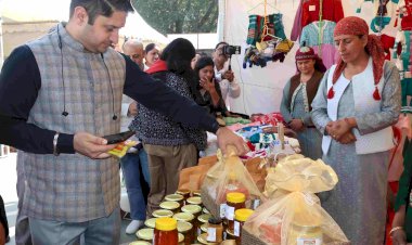 दीपावली मांडव हिम ईरा आजीविका मेला शुरू