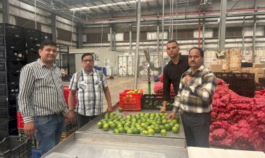 एचपी शिव परियोजना के अंतर्गत तैयार मौसम्बी की पहली खेप धर्मपुर क्लस्टर से पहुंची राजपुरा रिलायंस स्टोर, बागवानों को फसल का मिल रहा बेहतर मूल्य