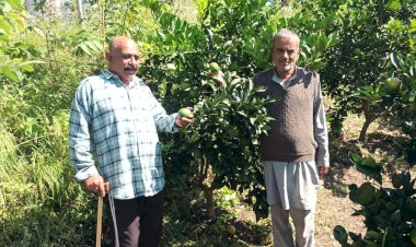 एचपी शिवा परियोजना ने बदली धर्मपुर क्षेत्र के 41 किसानों की तकदीर