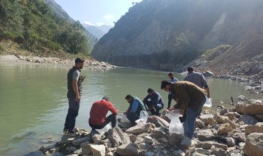 व्यास नदी  में छोड़े गए 5 हजार महाशीर मछली बीज.... रिवर रैंचिंग कार्यक्रम के तहत मत्स्य विभाग मंडी की पहल5 हजार महाशीर मछली बीज.... रिवर रैंचिंग कार्यक्रम के तहत मत्स्य विभाग मंडी की पहल
